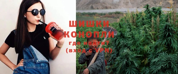 гидропоника Алзамай