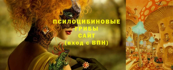 мяу мяу мука Алексеевка