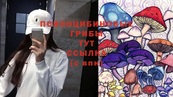 эйфоретик Алексин