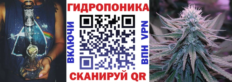 OMG tor  Порхов  Конопля Bruce Banner  магазин продажи  